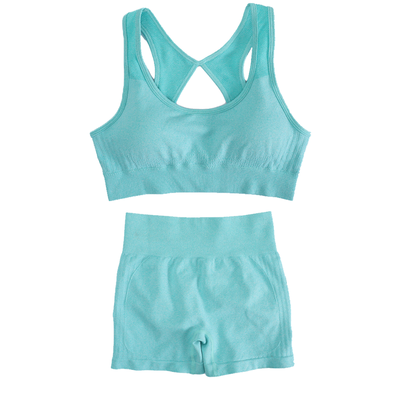 Women's Sports Fitness Yoga Su - đánh giá và giá Yoga Fitness Set